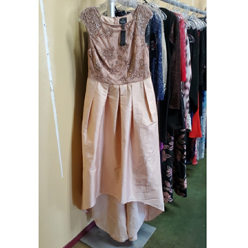 Adrianna Papell Gown